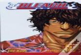 Bleach, Vol. 5