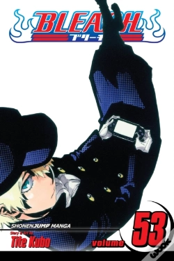 Capa do artigo Bleach, Vol. 53