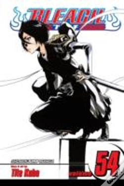 Capa do artigo Bleach, Vol. 54