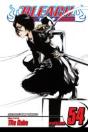 Bleach, Vol. 54 - Preview