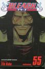 Bleach, Vol. 55 - Preview