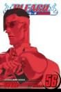 Bleach, Vol. 56 - Preview