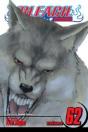 Bleach, Vol. 62 - Preview