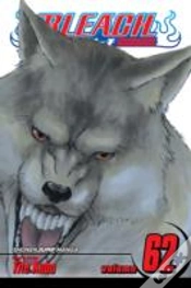 Capa do artigo Bleach, Vol. 62