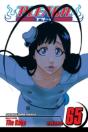 Bleach, Vol. 65 - Preview