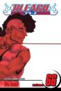 Bleach, Vol. 66 - Preview