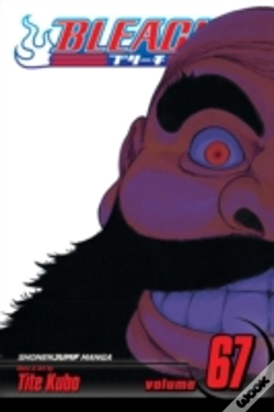 Capa do artigo Bleach, Vol. 67