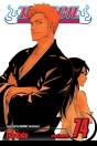 Bleach, Vol. 74 - Preview