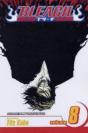 Bleach, Vol. 8 - Preview