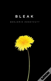 Capa do artigo Bleak