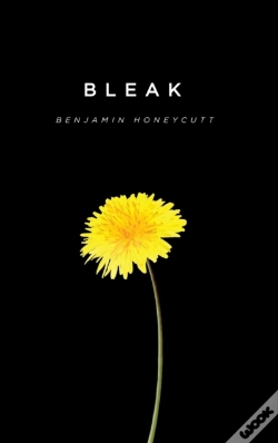 Capa do artigo Bleak