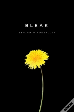 Capa do artigo Bleak