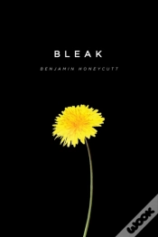 Capa do artigo Bleak
