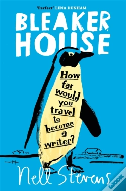 Capa do artigo Bleaker House