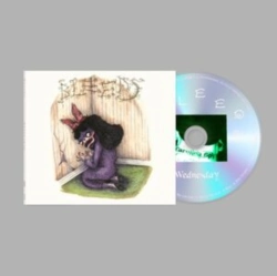Capa do artigo Bleeds - CD