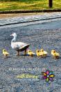 Blending Creativity With Caring - Preview