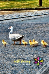 Blending Creativity With Caring