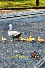 Capa do artigo Blending Creativity With Caring