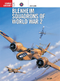 Blenheim Squadrons Of World War 2 - Preview