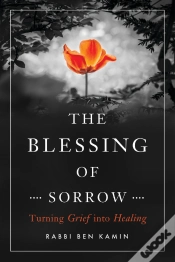 Capa do artigo Blessing Of Sorrow