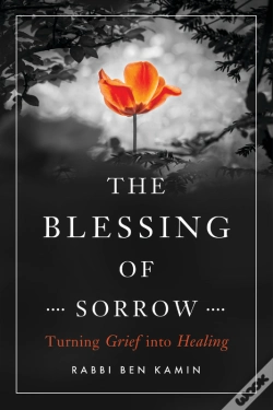 Capa do artigo Blessing Of Sorrow