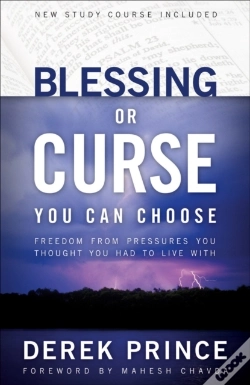 Capa do artigo Blessing Or Curse