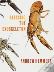 Capa do artigo Blessing The Exoskeleton