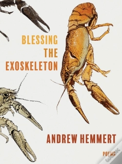 Capa do artigo Blessing The Exoskeleton