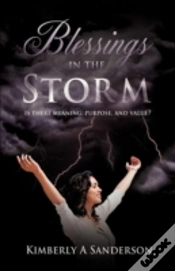 Capa do artigo Blessings In The Storm