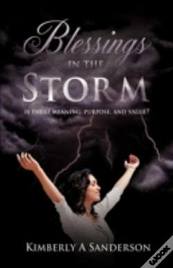 Capa do artigo Blessings In The Storm