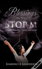 Capa do artigo Blessings In The Storm