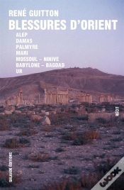 Capa do artigo Blessures D