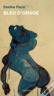 Capa do artigo Bleu D
