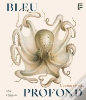 Capa do artigo Bleu Profond : L