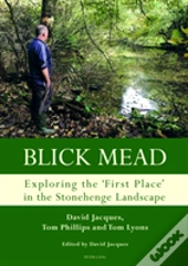 Blick Mead: Exploring The 'First Place' In The Stonehenge Landscape
