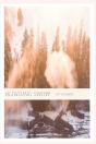Bliding Snow - Preview