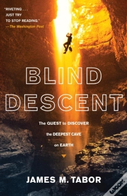 Capa do artigo Blind Descent