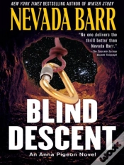 Capa do artigo Blind Descent