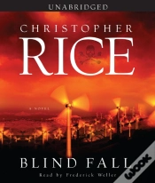 Capa do artigo Blind Fall