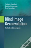 Blind Image Deconvolution