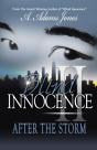 Blind Innocence Ii: After The Storm - Preview