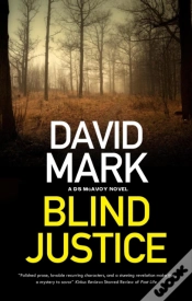 Capa do artigo Blind Justice