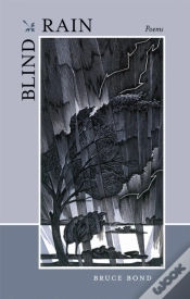 Capa do artigo Blind Rain