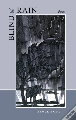 Capa do artigo Blind Rain