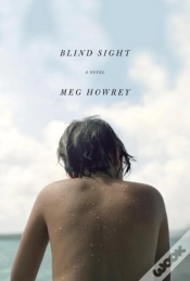 Capa do artigo Blind Sight