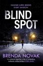 Blind Spot - Preview
