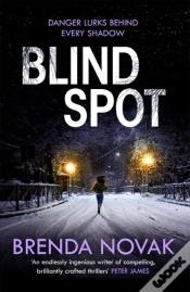 Capa do artigo Blind Spot