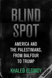 Capa do artigo Blind Spot