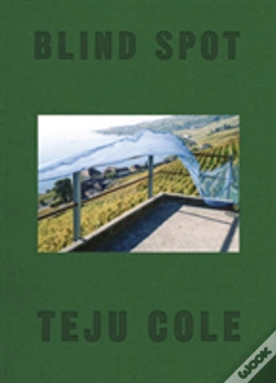 Capa do artigo Blind Spot