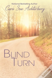 Capa do artigo Blind Turn